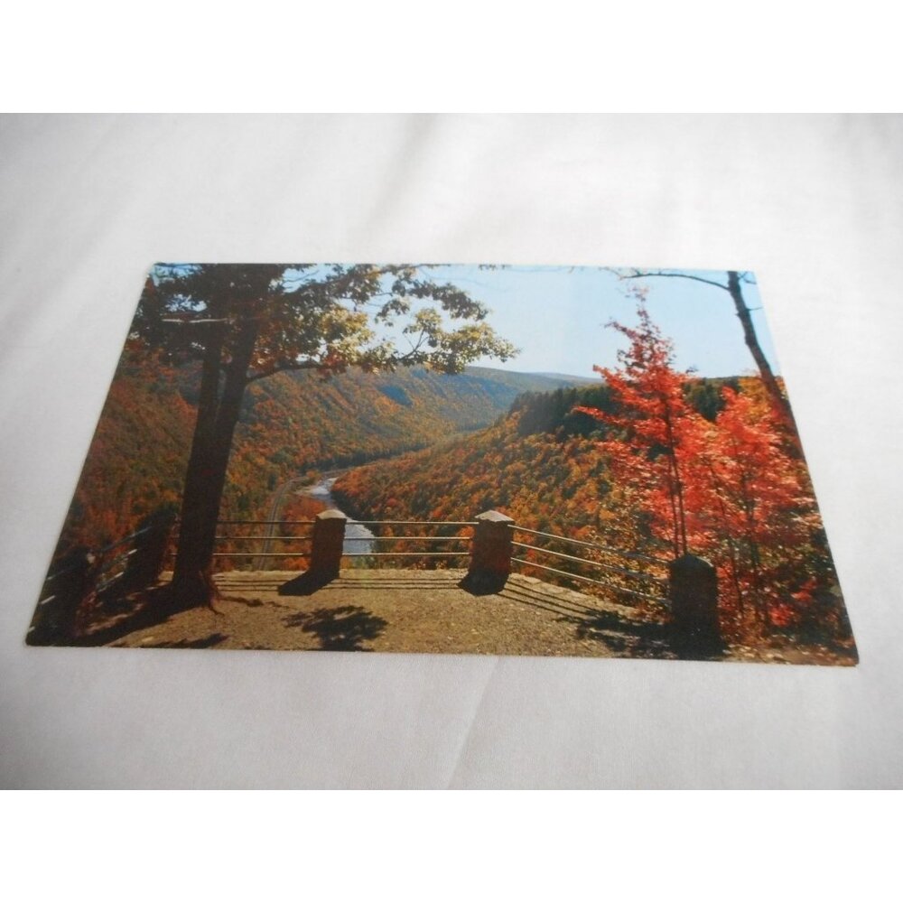 Vintage Postcard unposted Cedar Run Lookout Pennsylania Lake fall nature 1950s